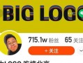 网红大logo